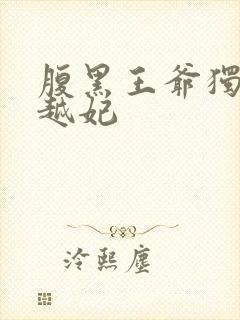 腹黑王爷独宠穿越妃