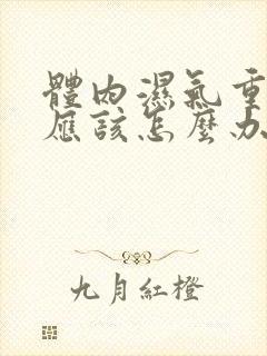 体内湿气重脾虚应该怎么办