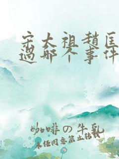 宋太祖赵匡胤通过哪个事件夺取政权建立宋朝