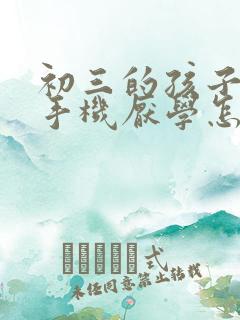 初三的孩子沉迷手机厌学怎么办