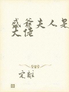 盛爷夫人是超级大佬