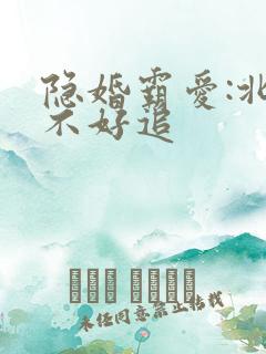 隐婚霸爱:北少不好追