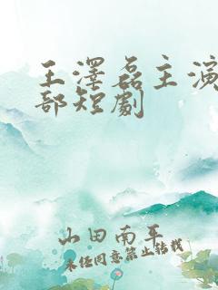 王泽磊主演的全部短剧