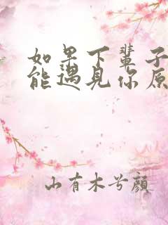 如果下辈子我还能遇见你原唱