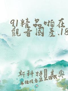 91精品啪在线观看国产.18