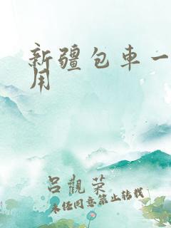 新疆包车一天费用