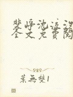 裴峥沈流汐小说全文免费阅读