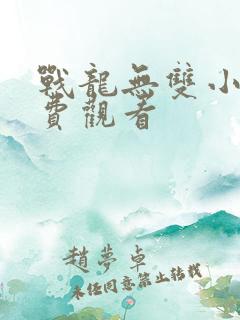 战龙无双小说免费观看 战龙无双小说免费观看