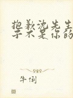 抱歉沈先生,孩子不是你的短剧在线