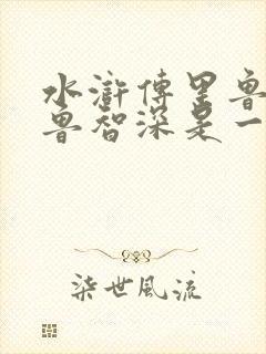 水浒传里鲁达和鲁智深是一个人吗