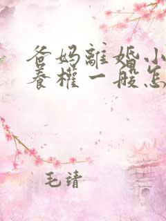 爸妈离婚小孩抚养权一般怎么判