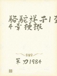 骆驼祥子1至24章梗概
