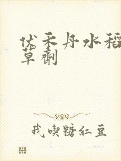 伏禾丹水稻田除草剂