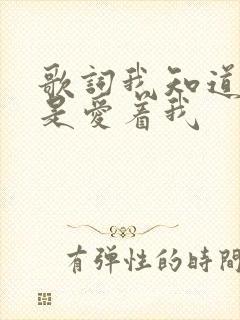 歌词我知道你还是爱着我