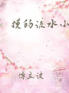 摸的流水小说