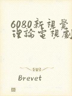 6080新视觉理论电视剧在线观看