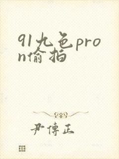 91九色pron偷拍