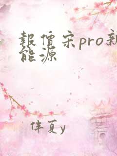 报价宋pro新能源