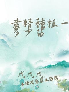 黄精种植一亩地多少苗
