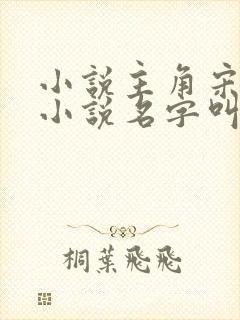 小说主角宋砚的小说名字叫什么