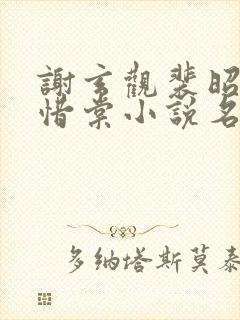 谢玄观裴昭意宋惜棠小说名字