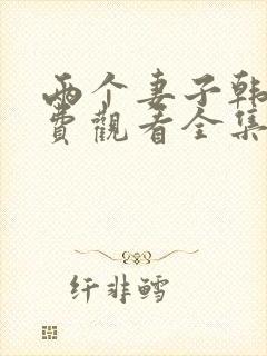 两个妻子韩剧免费观看全集