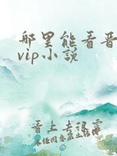 哪里能看晋江的vip小说