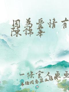 因为爱情有多美陈锦华
