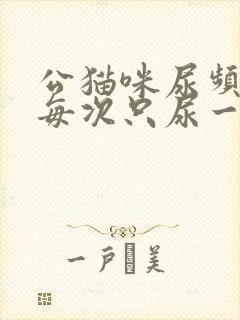 公猫咪尿频而且每次只尿一点