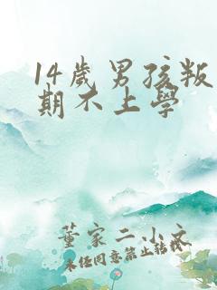 14岁男孩叛逆期不上学