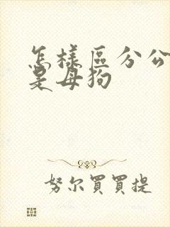 怎样区分公狗还是母狗 怎样区分公狗还是母狗