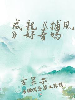成龙《捕风追影》好看吗