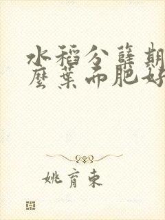 水稻分蘖期喷什么叶面肥好
