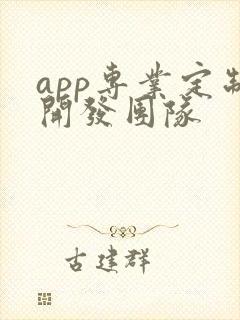 app专业定制开发团队