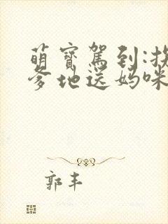 萌宝驾到:拐个爹地送妈咪好看