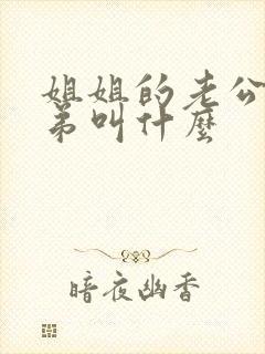 姐姐的老公叫弟弟叫什么