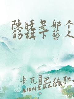 陈晓是哪个公司的旗下艺人
