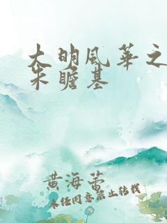 大明风华之我是朱瞻基