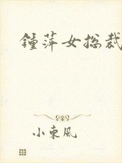 钟萍女总裁小说