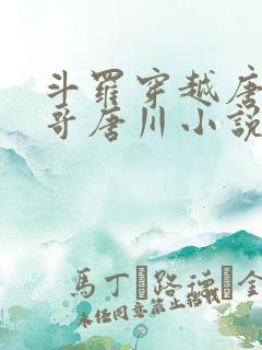 斗罗穿越唐三亲哥唐川小说