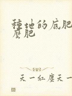 种地的底肥是什么肥