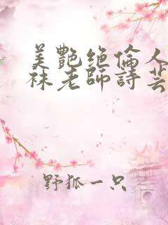 美艳绝伦人妻丝袜老师诗芸
