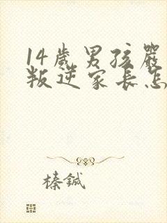 14岁男孩严重叛逆家长怎么办