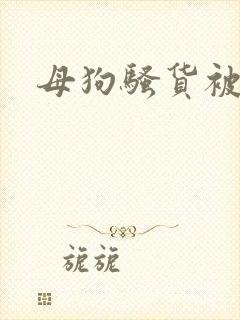 母狗骚货被我操
