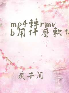 mp4转rmvb用什么软件