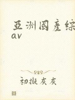 亚洲国产综合性av