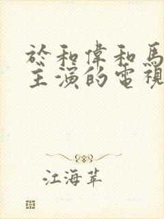 于和伟和马伊琍主演的电视剧有哪些电视剧