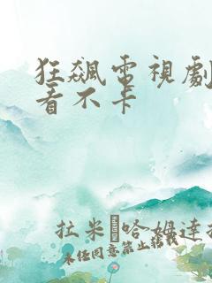 狂飙电视剧在线看不卡