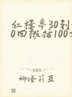 红楼梦30到40回概括100字