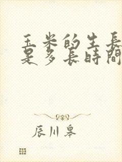 玉米的生长周期是多长时间